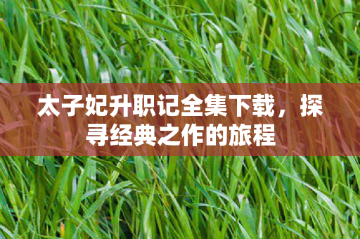 太子妃升职记全集下载，探寻经典之作的旅程