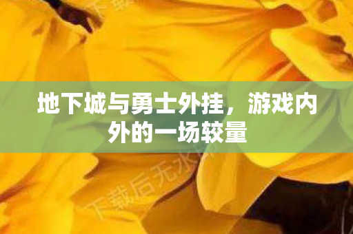 地下城与勇士外挂，游戏内外的一场较量