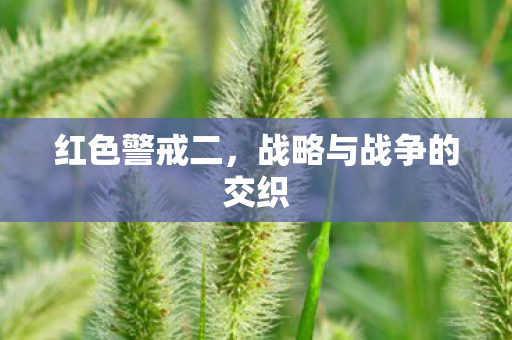 红色警戒二，战略与战争的交织