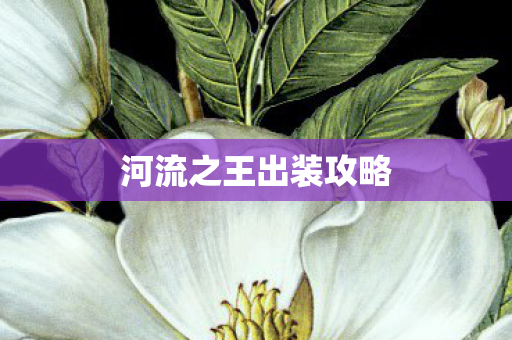 河流之王出装攻略