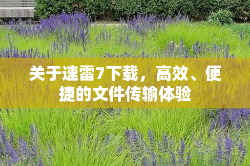 关于速雷7下载，高效、便捷的文件传输体验