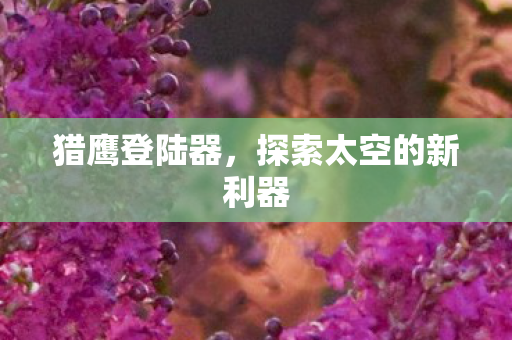 猎鹰登陆器，探索太空的新利器