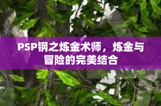 PSP钢之炼金术师，炼金与冒险的完美结合