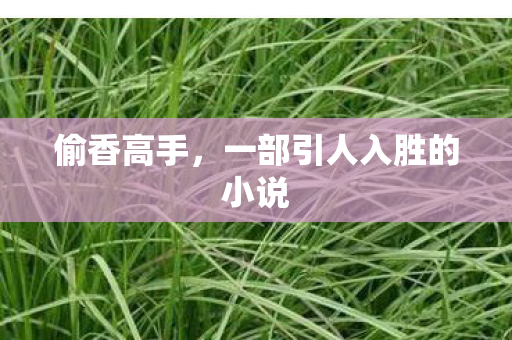 偷香高手，一部引人入胜的小说