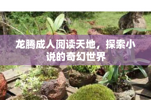 龙腾成人阅读天地，探索小说的奇幻世界
