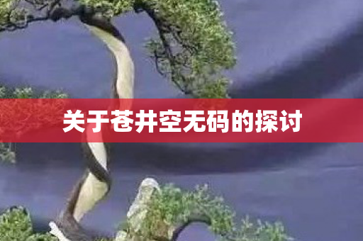 关于苍井空无码的探讨