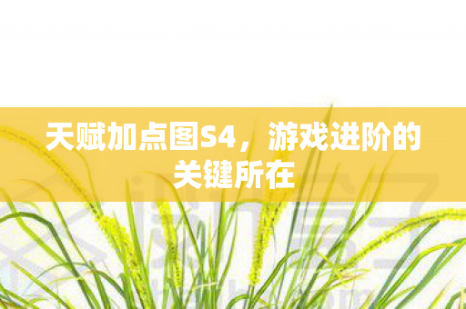 天赋加点图S4，游戏进阶的关键所在