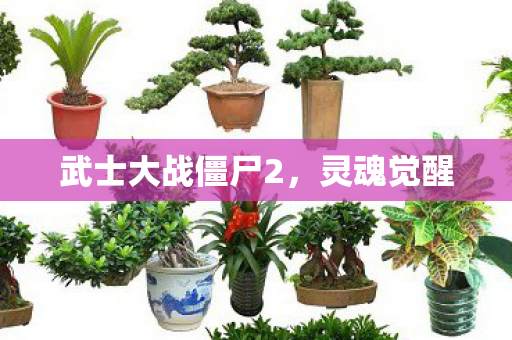 武士大战僵尸2，灵魂觉醒