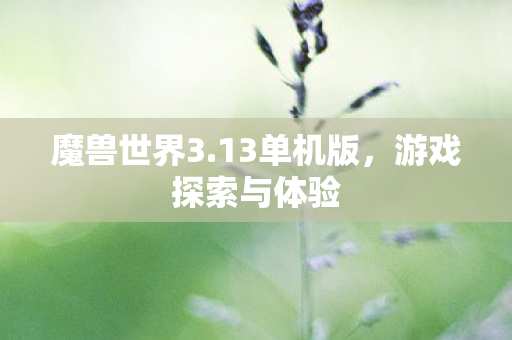 魔兽世界3.13单机版，游戏探索与体验