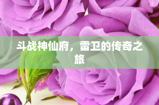 斗战神仙府，雷卫的传奇之旅