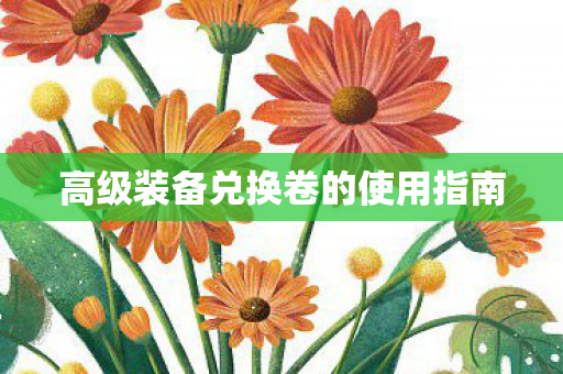 高级装备兑换卷的使用指南
