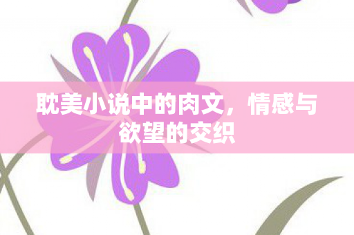 耽美小说中的肉文，情感与欲望的交织