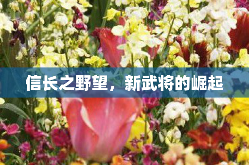 信长之野望，新武将的崛起