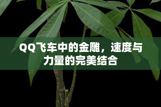 QQ飞车中的金雕，速度与力量的完美结合