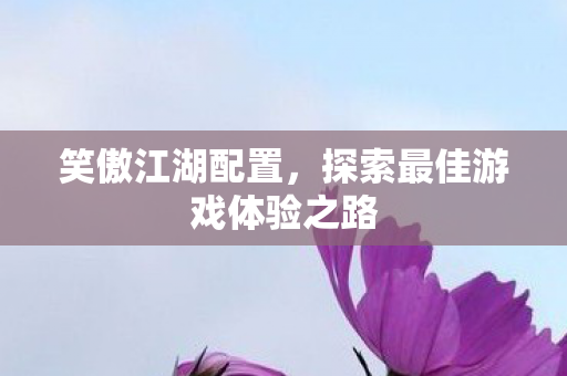 笑傲江湖配置，探索最佳游戏体验之路