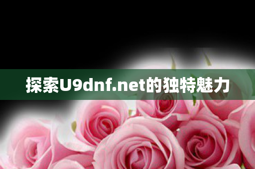 探索U9dnf.net的独特魅力