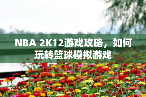 NBA 2K12游戏攻略，如何玩转篮球模拟游戏