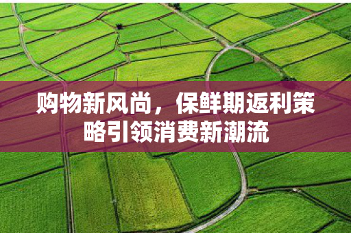 购物新风尚，保鲜期返利策略引领消费新潮流