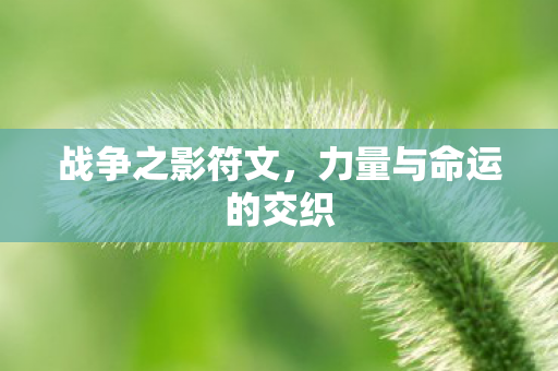 战争之影符文，力量与命运的交织