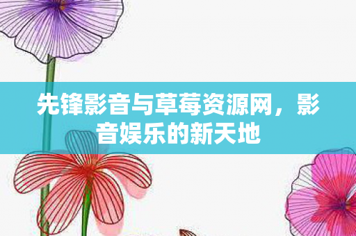 先锋影音与草莓资源网，影音娱乐的新天地