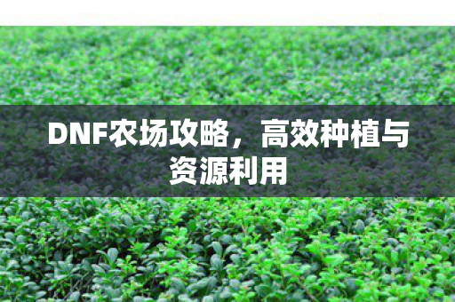 DNF农场攻略，高效种植与资源利用