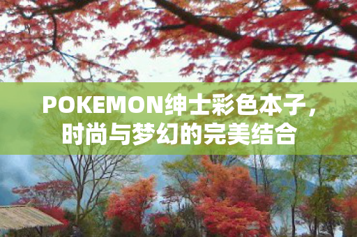POKEMON绅士彩色本子，时尚与梦幻的完美结合