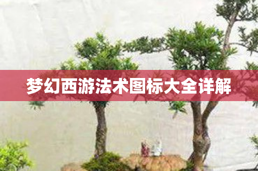梦幻西游法术图标大全详解