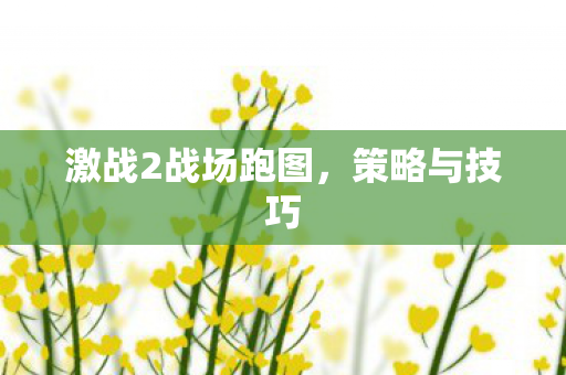 激战2战场跑图，策略与技巧