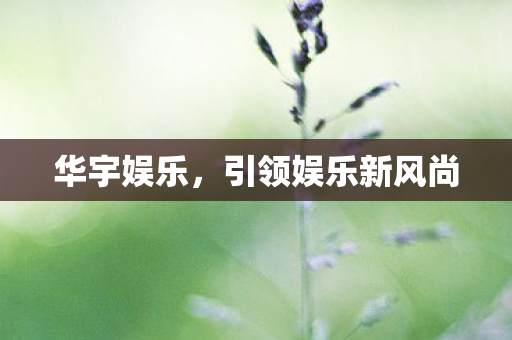 华宇娱乐，引领娱乐新风尚