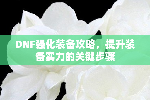 DNF强化装备攻略，提升装备实力的关键步骤