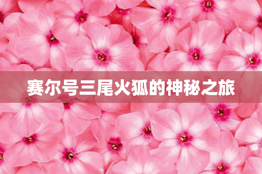 赛尔号三尾火狐的神秘之旅