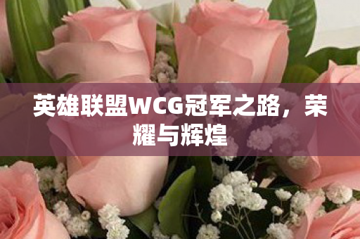 英雄联盟WCG冠军之路，荣耀与辉煌
