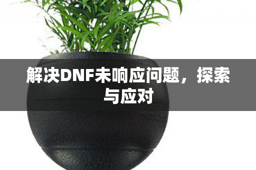 解决DNF未响应问题，探索与应对
