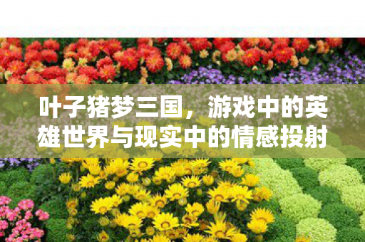 叶子猪梦三国，游戏中的英雄世界与现实中的情感投射