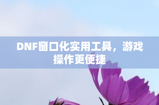 DNF窗口化实用工具，游戏操作更便捷