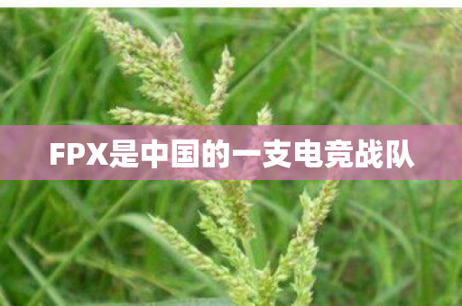 FPX是中国的一支电竞战队