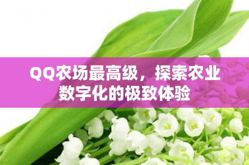 QQ农场最高级，探索农业数字化的极致体验