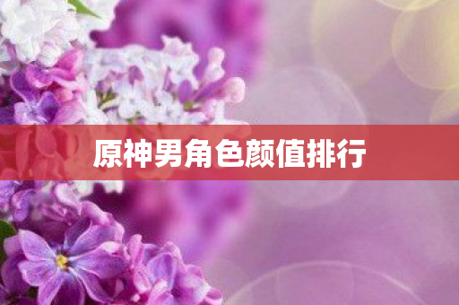原神男角色颜值排行
