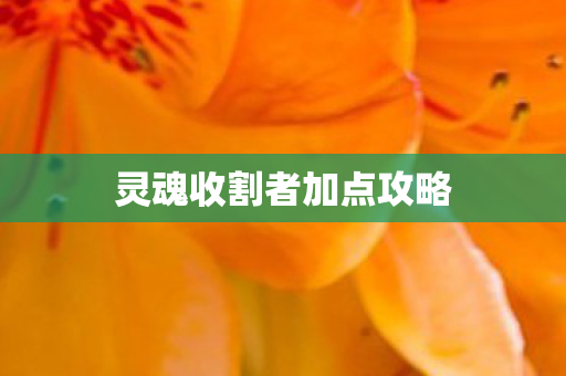 灵魂收割者加点攻略