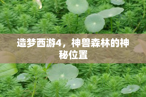 造梦西游4，神兽森林的神秘位置