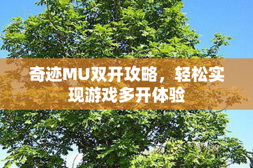 奇迹MU双开攻略，轻松实现游戏多开体验