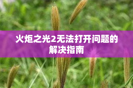 火炬之光2无法打开问题的解决指南
