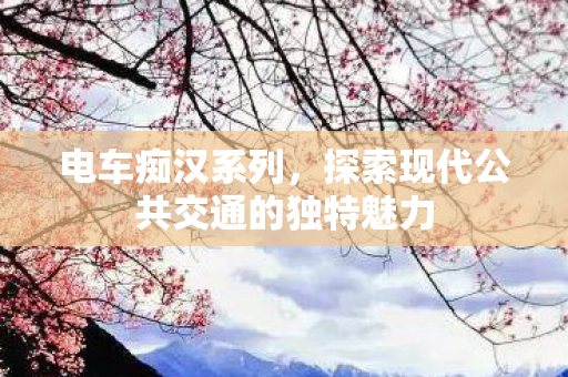 电车痴汉系列，探索现代公共交通的独特魅力