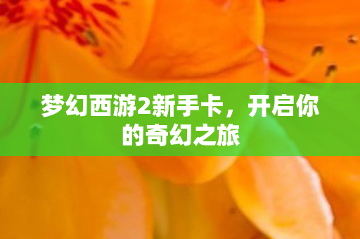 梦幻西游2新手卡，开启你的奇幻之旅