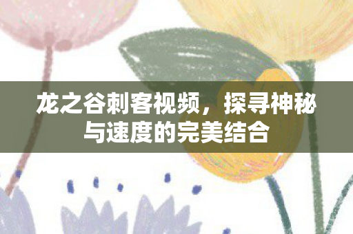 龙之谷刺客视频，探寻神秘与速度的完美结合