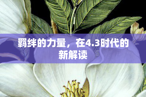 羁绊的力量，在4.3时代的新解读