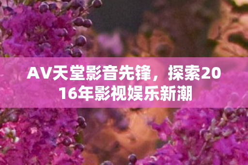 AV天堂影音先锋，探索2016年影视娱乐新潮