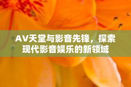 AV天堂与影音先锋，探索现代影音娱乐的新领域
