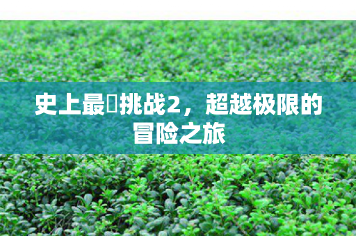 史上最囧挑战2，超越极限的冒险之旅