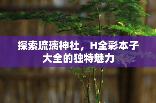 探索琉璃神社，H全彩本子大全的独特魅力